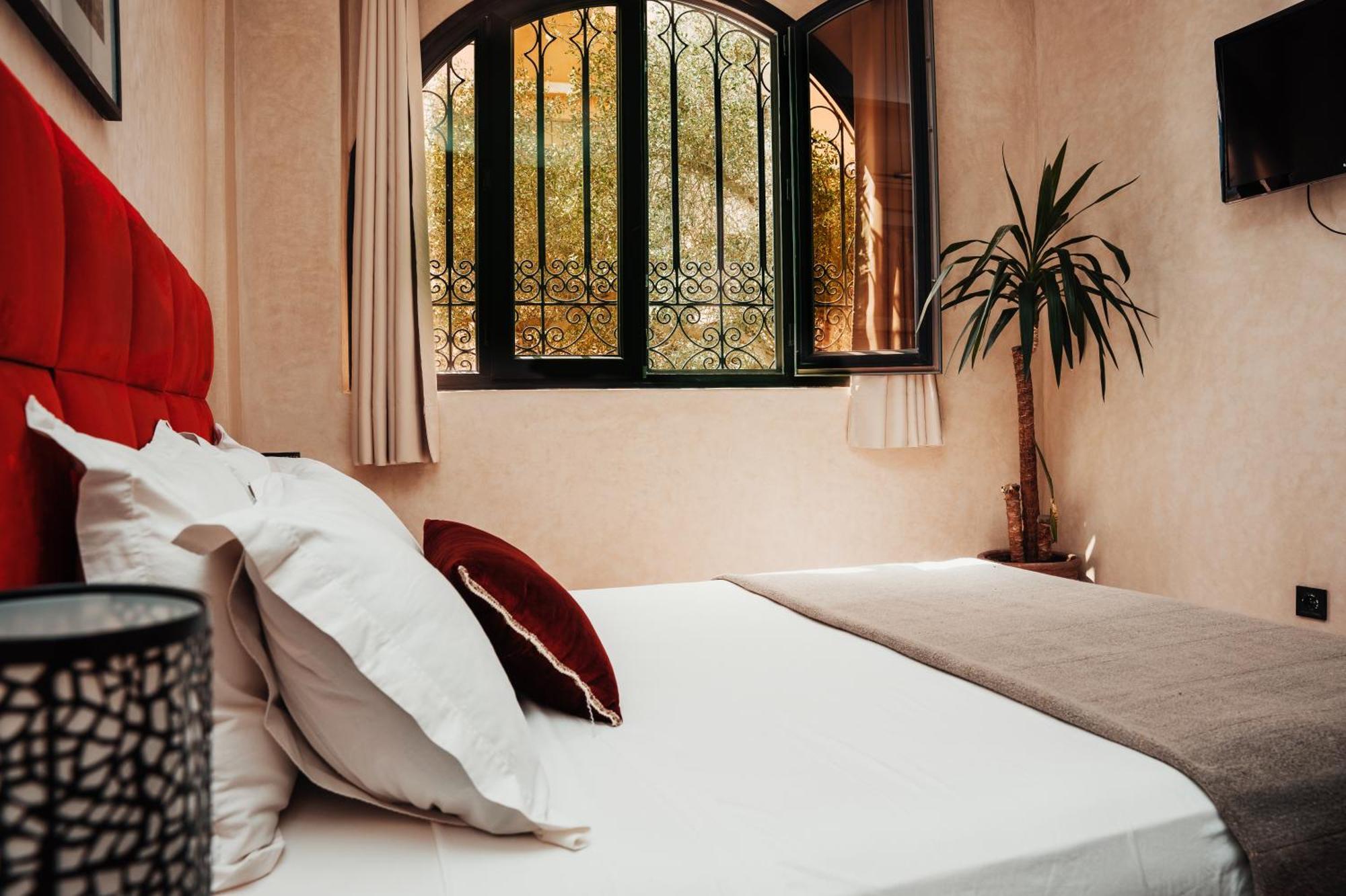 Auberge Riad Dlim Tamraght المظهر الخارجي الصورة